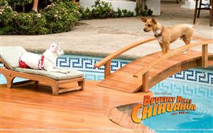 Beverly Hills Chihuahua